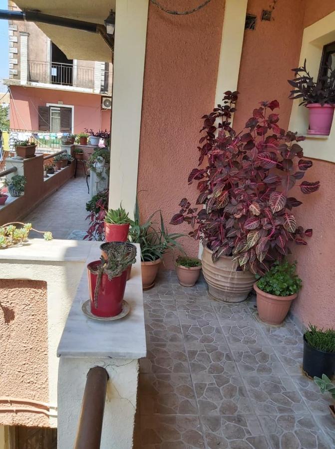 Eugenia Apartment 帕拉马 外观 照片
